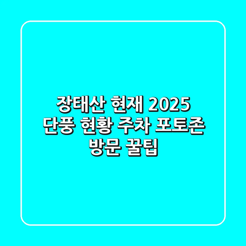 장태산 현재: 2025 단풍 현황, 주차, 포토존 방문 꿀팁!