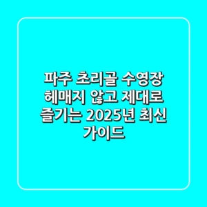 파주 초리골 수영장, 헤매지 않고 제대로 즐기는 2025년 최신 가이드