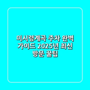 미시령계곡 주차 완벽 가이드: 2025년 최신 방문 꿀팁