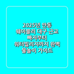 2025년 안동 웨이블리: 대구 근교 빠지부터 워터빌리지까지, 완벽 물놀이 가이드