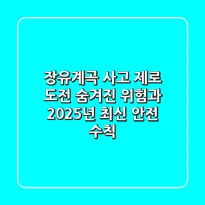 장유계곡 사고 제로 도전! 숨겨진 위험과 2025년 최신 안전 수칙