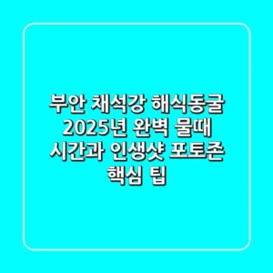 부안 채석강 해식동굴, 2025년 완벽 물때 시간과 인생샷 포토존 핵심 팁