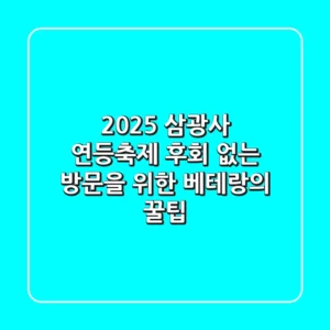 2025 삼광사 연등축제, 후회 없는 방문을 위한 베테랑의 꿀팁