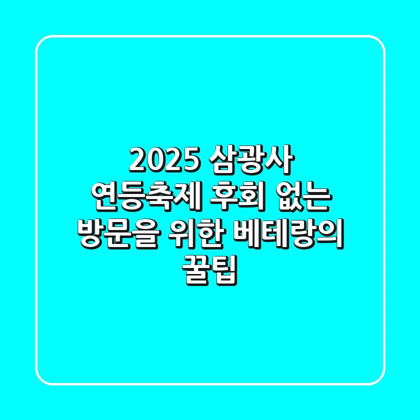 2025 삼광사 연등축제, 후회 없는 방문을 위한 베테랑의 꿀팁