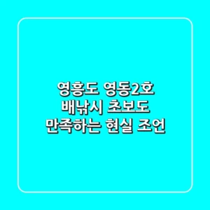 영흥도 영동2호 배낚시, 초보도 만족하는 현실 조언