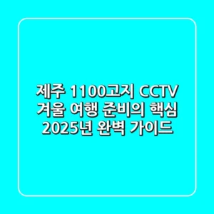 제주 1100고지 CCTV, 겨울 여행 준비의 핵심 2025년 완벽 가이드