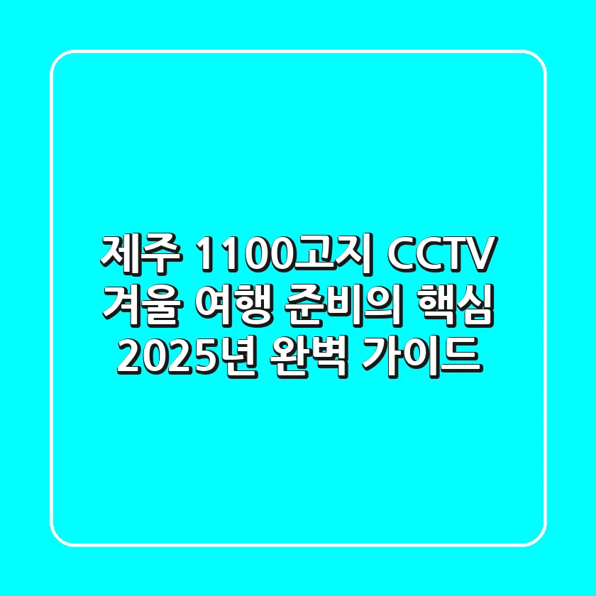 제주 1100고지 CCTV, 겨울 여행 준비의 핵심 2025년 완벽 가이드