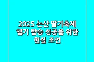 2025 논산 딸기축제 헬기 탑승, 성공을 위한 현실 조언!