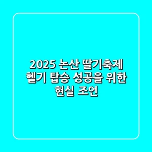 2025 논산 딸기축제 헬기 탑승, 성공을 위한 현실 조언!