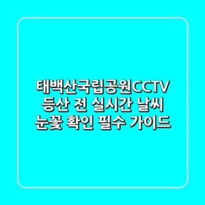 태백산국립공원CCTV: 등산 전 실시간 날씨, 눈꽃 확인 필수 가이드