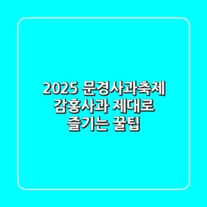2025 문경사과축제: 감홍사과 제대로 즐기는 꿀팁