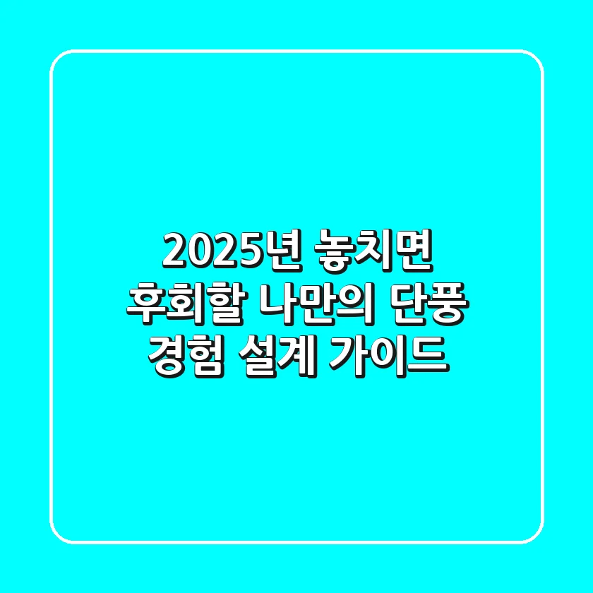 2025년, 놓치면 후회할 '나만의 단풍' 경험 설계 가이드