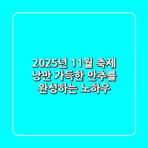 2025년 11월 축제, 낭만 가득한 만추를 완성하는 노하우