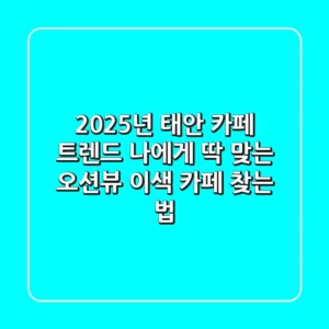 2025년 태안 카페 트렌드: 나에게 딱 맞는 오션뷰 이색 카페 찾는 법