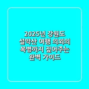 2025년 강원도 설악산 여행, 의외의 복병까지 짚어주는 완벽 가이드