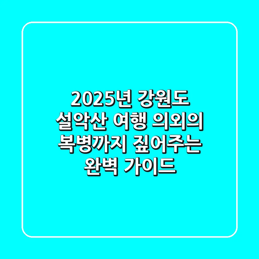 2025년 강원도 설악산 여행, 의외의 복병까지 짚어주는 완벽 가이드