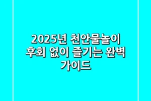 2025년 천안물놀이, 후회 없이 즐기는 완벽 가이드!