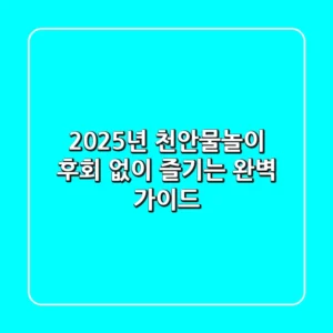 2025년 천안물놀이, 후회 없이 즐기는 완벽 가이드!