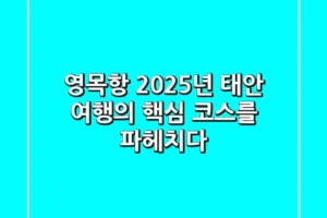 영목항, 2025년 태안 여행의 핵심 코스를 파헤치다