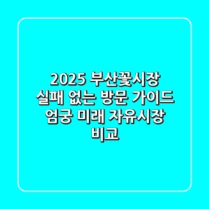 2025 부산꽃시장, 실패 없는 방문 가이드 (엄궁, 미래, 자유시장 비교)