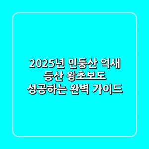 2025년 민둥산 억새 등산, 왕초보도 성공하는 완벽 가이드