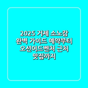 2025 거제 소노캄 완벽 가이드: 예약부터 오션어드벤처, 근처 맛집까지