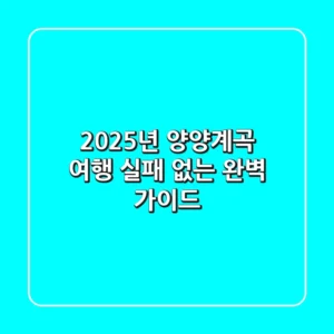 2025년 양양계곡 여행, 실패 없는 완벽 가이드