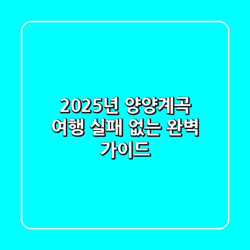 2025년 양양계곡 여행, 실패 없는 완벽 가이드