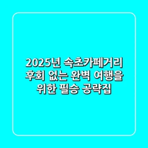 2025년 속초카페거리, 후회 없는 완벽 여행을 위한 필승 공략집