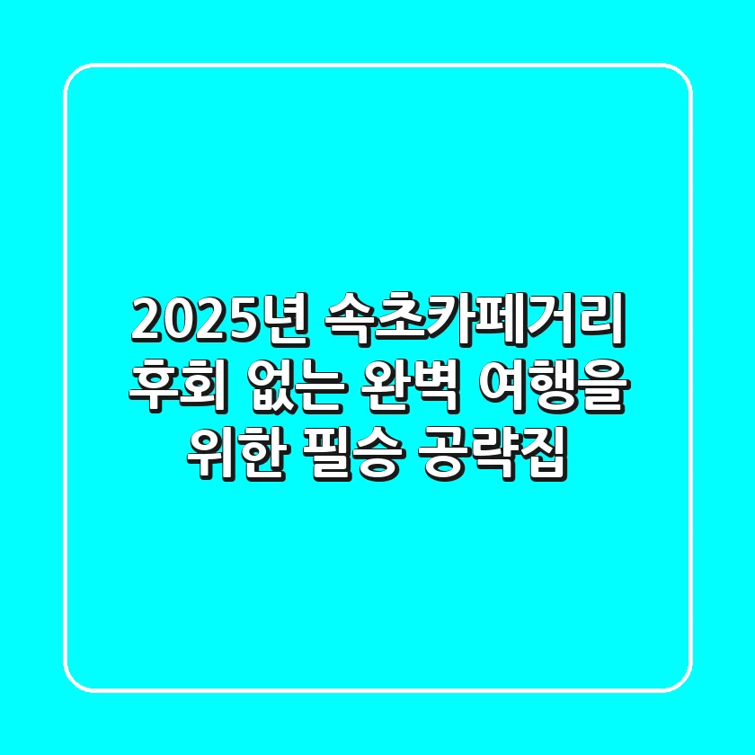 2025년 속초카페거리, 후회 없는 완벽 여행을 위한 필승 공략집