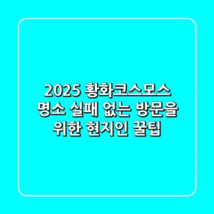 2025 황화코스모스 명소? 실패 없는 방문을 위한 현지인 꿀팁!