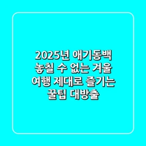 2025년 애기동백, 놓칠 수 없는 겨울 여행: 제대로 즐기는 꿀팁 대방출!