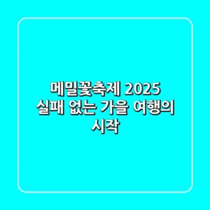 메밀꽃축제 2025, 실패 없는 가을 여행의 시작!