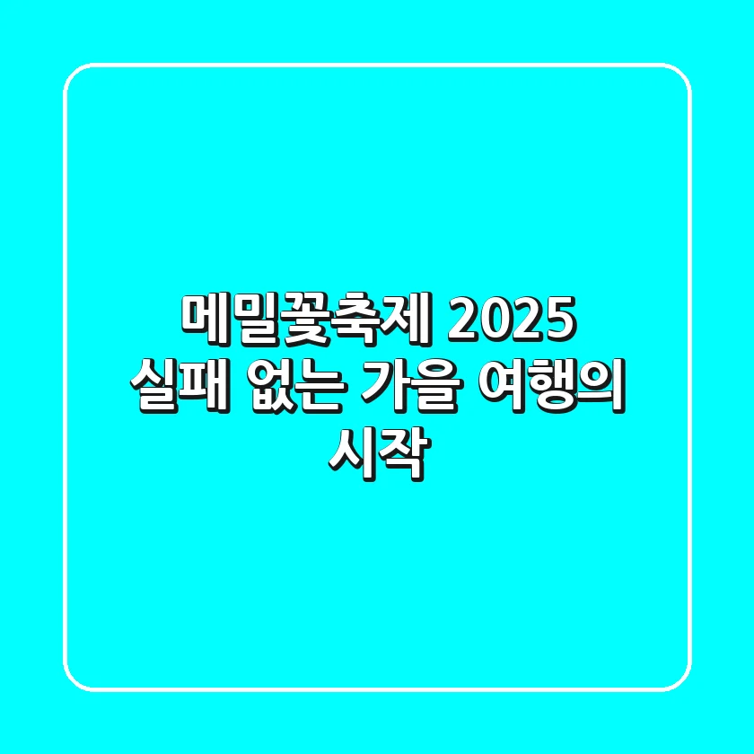 메밀꽃축제 2025, 실패 없는 가을 여행의 시작!