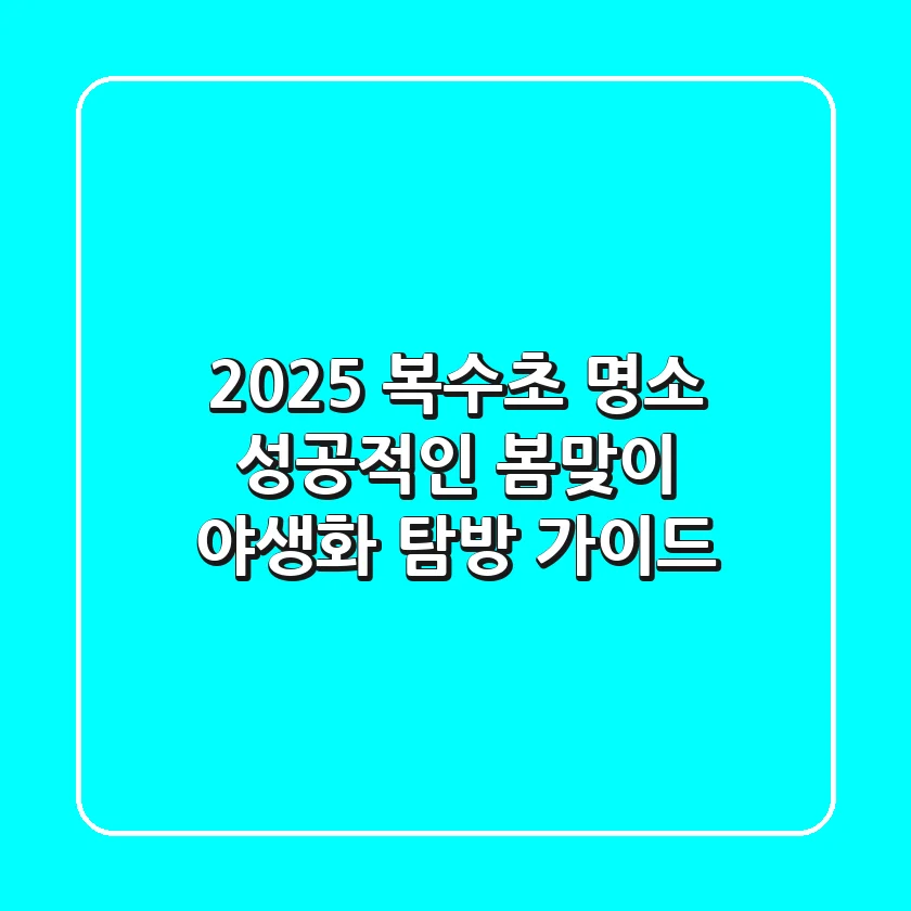 2025 복수초 명소, 성공적인 봄맞이 야생화 탐방 가이드