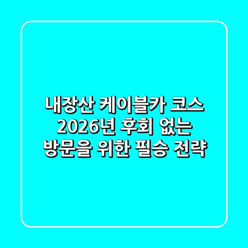 내장산 케이블카 코스 2026년, 후회 없는 방문을 위한 필승 전략