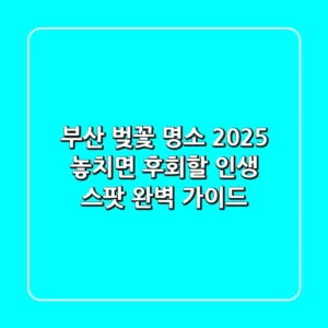 부산 벚꽃 명소 2025, 놓치면 후회할 인생 스팟 완벽 가이드