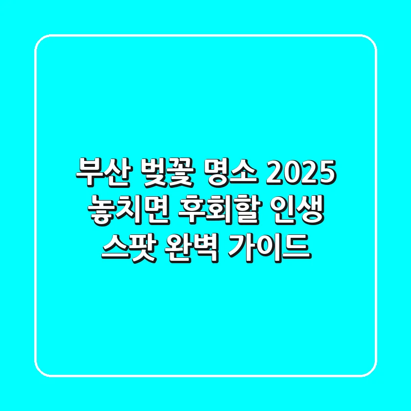 부산 벚꽃 명소 2025, 놓치면 후회할 인생 스팟 완벽 가이드